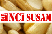 Susam Çeşitlerimiz, Pastalık, Simitlik, Beyaz (Yanmaz) Susam