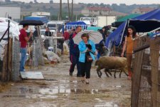 Kurbanlar, Yağmur Altında Kesildi