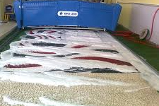 Bahar Geldi, Temizlik Başladı