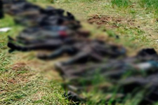 Suriye’ye Geçmeye Çalışan Çok Sayıda Terörist Öldürüldü