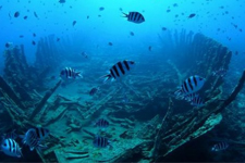 Dünyanın Gözü Oraya Çevrildi, Karadeniz’in Dibinde Bulundu!