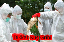 Kuş Gribi Geri Döndü