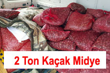 Edirne'de 2 Ton Kaçak Midye Ele Geçirildi