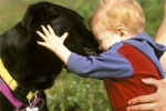  - Bunlar Da Köpek Teröristleri